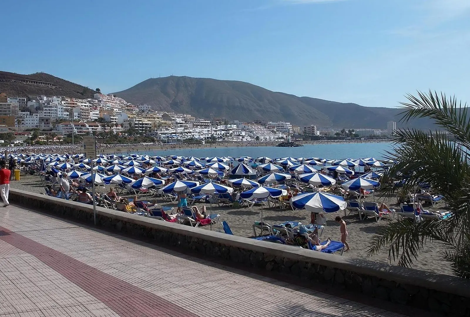 Daire Los Cristianos Beach Property